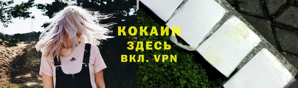 Альфа ПВП Нея