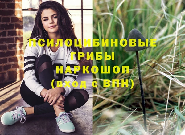 дживик Наволоки