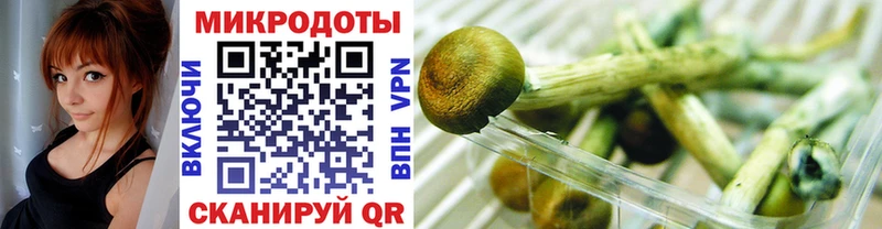 что такое   Киренск  Галлюциногенные грибы Psilocybe 